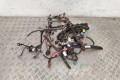 Проводка двигателя Renault Scenic 3 (2008-2015)