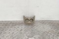 Подстаканник Renault Scenic 3 (2008-2015) 684300001R