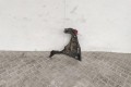 Дождевик Renault Scenic 4 (2016-2021) 668634479R