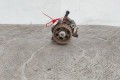 ТНВД Renault Scenic 2 (2003-2009) 8200430599, K0501